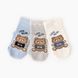 Набір шкарпеток для хлопчика 3 шт. P1604 14 Різнокольоровий (2000989690849A)