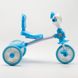 Велосипед детский QQLI1025007 Голубой (2000903316930)