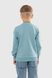Світшот з принтом для хлопчика MAGO 244154 110 см Блакитний (2000989926023D)