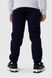 Спортивні штани з принтом для хлопчика Pitiki 1925 152 см Синій (2000990143860W)