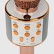 Караоке микрофон со светом C48340 Розово-золотой (2000990146137)