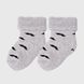 Шкарпетки для хлопчика PierLone PH-712 18-24 місяці Сірий (2000990179456A)
