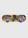 Скейт детский BuBuGao BJ11274 Разноцветный (2002008370596)