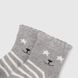 Шкарпетки для дівчинки 3 шт AND Киця 0-6 Різнокольоровий (2000990040831А)