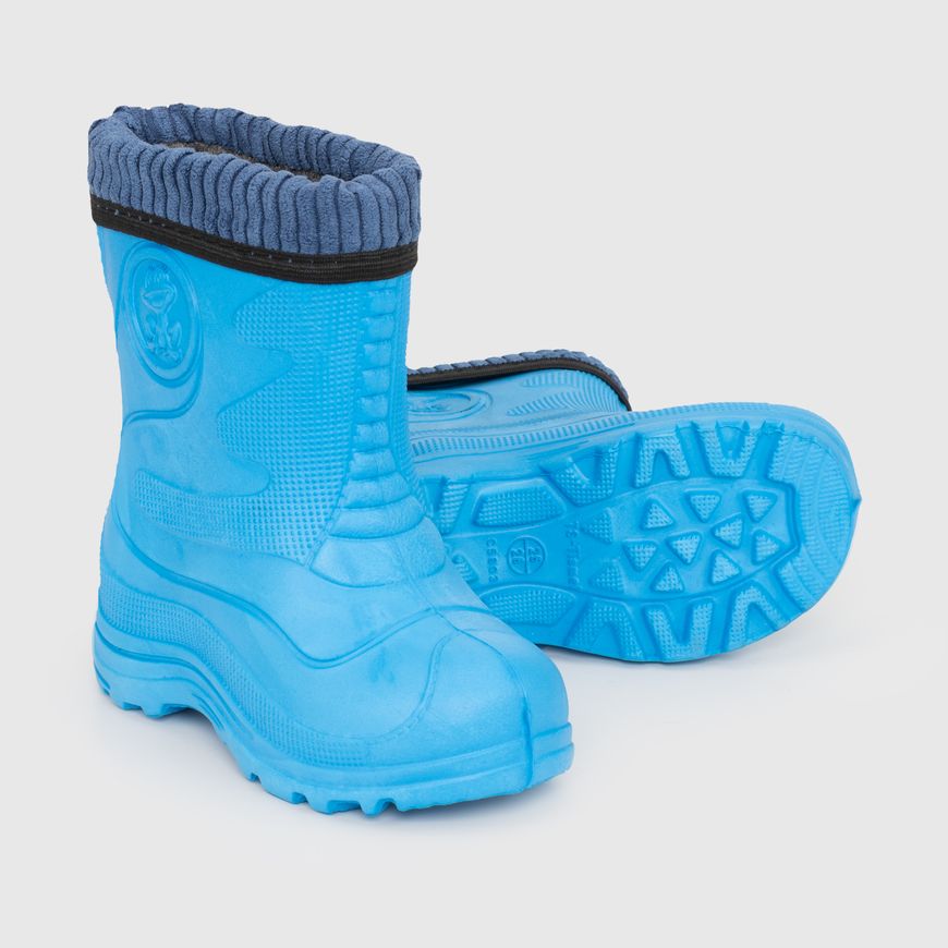 Магазин обуви Сапожки резиновые для мальчика R2330