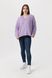 Пуловер однотонний жіночий Park karon 5857 One Size Бузковий (2000990151612W)