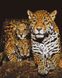 Алмазная мозаика Ночные леопарды Вrushme DBS1085 40 x 50 (9995482178099)