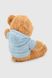 Мягкая игрушка Медвежонок QINLUGONGYIWANJUCHANG QLI6201 Голубой (2000990378095)