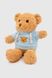 Мягкая игрушка Медвежонок QINLUGONGYIWANJUCHANG QLI6201 Голубой (2000990378095)