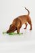 Іграшка канат з вузлами для собак KUMAOCHONGWUYONGPIN KM52661 Салатовий (2000990382870)