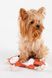 Іграшка- шуршалка для собак ЛИСИЦЯ KUMAOCHONGWUYONGPIN KM52657 Різнокольоровий (2000990382795)
