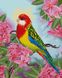 Алмазна мозаїка Папуга в квітах Вrushme DBS1027 40 x 50 (9995482176033)