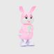 Кролик заводной A780-30 Розовый (2000990291479)