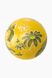 Мяч ''Цветы'' JinFeng N-25-5 Y Желтый (2000989278054)
