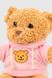 Мягкая игрушка Медвежонок QINLUGONGYIWANJUCHANG QLI6201 Розовый (2002012311431)