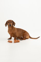 Магазин взуття Іграшка 3 сосиски на мотузці для собак KM52653