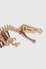Механические пазлы Спинозавр ANT Gear 00037 (4823141700037)