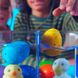 Растущая игрушка в яйце «Eggy Animals» - ПТАШКИ 91/CN22 (9772499228715)
