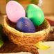 Растущая игрушка в яйце «Eggy Animals» - ПТАШКИ 91/CN22 (9772499228715)
