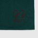 Шапка для мальчика Talvi Йорк 50-52 Зеленый (2000990033949D)