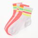 Шкарпетки жіночі 4 шт HAKAN Socken 5,5 35-38 Малиновий (2000989709558S)