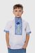 Сорочка з вишивкою для хлопчика КОЗАЧЕК ФІЛІП 164 см Синій (2000989882992S)