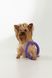 Игрушка Кольцо для собак KUMAOCHONGWUYONGPIN KM52655 Фиолетовый (2002014440863)