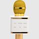 Іграшка Мікрофон V8 Золотий (2000990071484)
