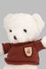 Мягкая игрушка Медвежонок YIWUSHIYIFANMAORONG YF41110 Коричневый (2000990435392)
