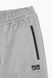 Спортивные штаны мужские зауженные Tommy life 84945 L Серый (2000989534709)