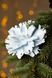Новорічна прикраса "Квітка велика "Півонія" Dashuri Блакитний (2000990125774)NY