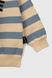Костюм (світшот+штани) для хлопчика Baby Show 1044 104 см Блакитний (2000990338341D)