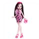 Кукла "Моя монстро-подружка" HRC12 25 см Разноцветный (2000990203588)