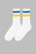 Шкарпетки чоловічі 4820163314549 40-45 Білий (4820163314549А)