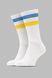 Шкарпетки чоловічі 4820163314549 40-45 Білий (4820163314549А)