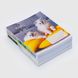 Набір зошитів Бріск 2250-2349-K "Котяча дружба" 48 аркушів в клітинку 15 шт. (2000989933755)